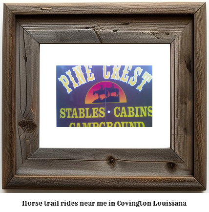 horse trail rides near me in Covington, Louisiana